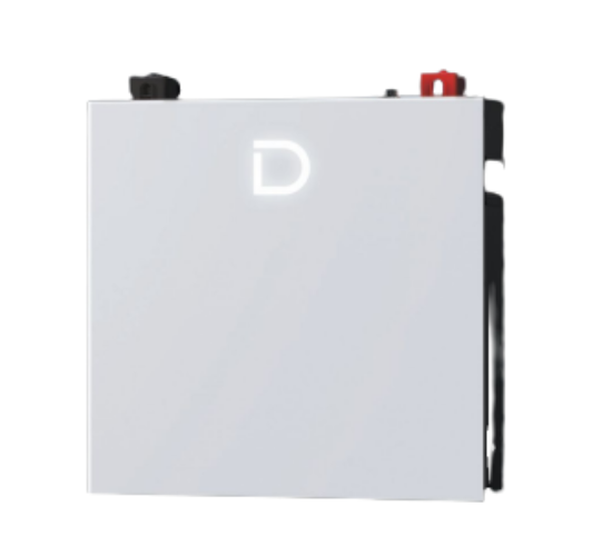 Dyness DL5.0C Pro 5kWh LV Battery