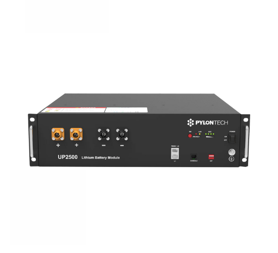 Pylontech UP2500 Lithium-Ion Battery